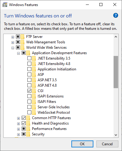 _images/IIS-CGI-Feature.png
